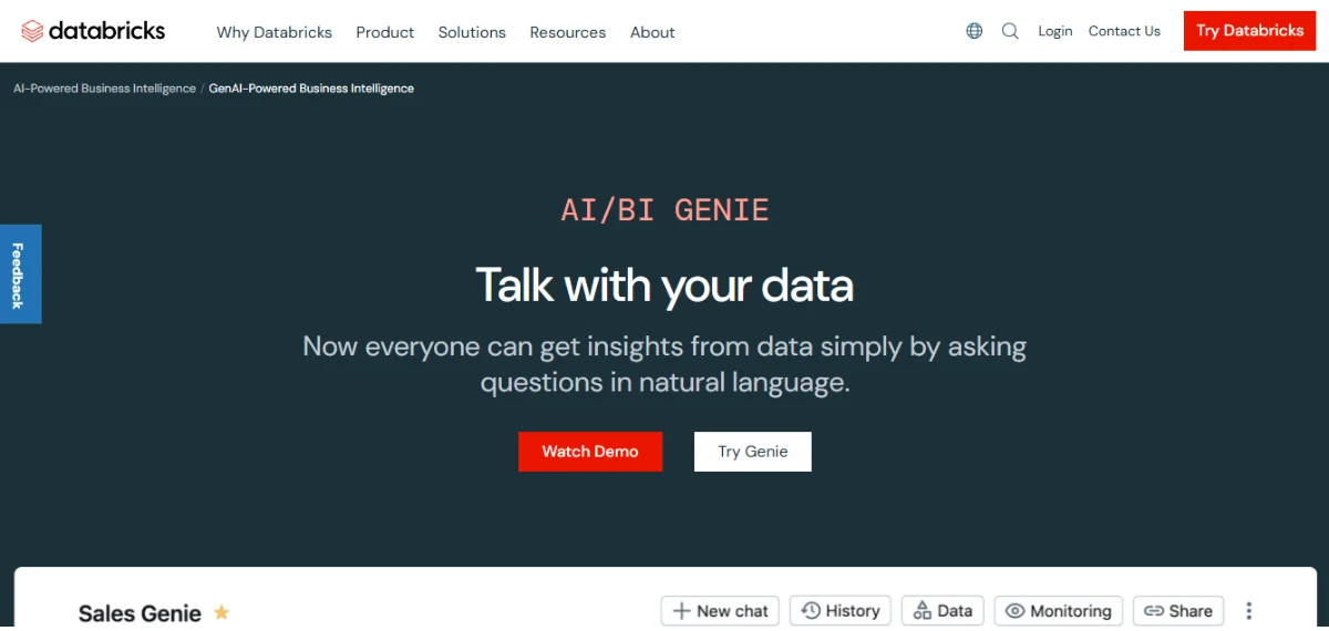 Databricks AI/BI Genie